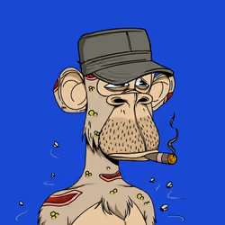 Dead Apes on Ape #8725
