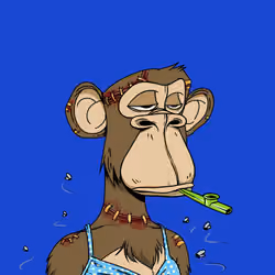 Dead Apes on Ape #9063