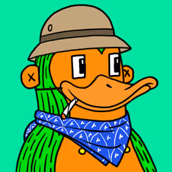 559