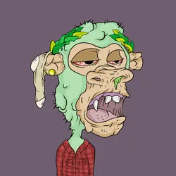 355