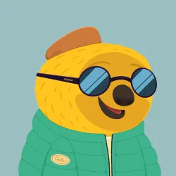 255