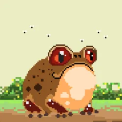 81