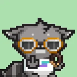 RebelRacoon #185