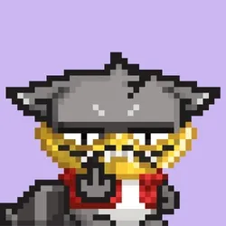 RebelRacoon #184