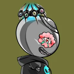 MAA #51