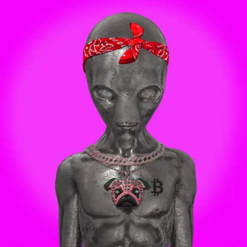 Alien on Ape #525