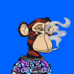 678