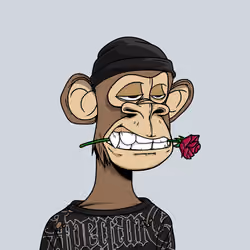 2611