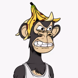 3224