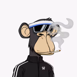 2602