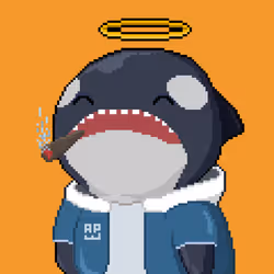 Orca Business #1461