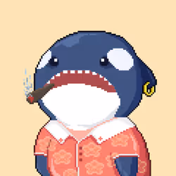 Orca Business #1637