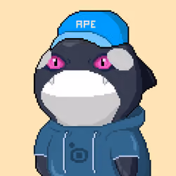 Orca Business #1895