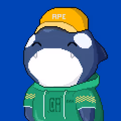 Orca Business #1788