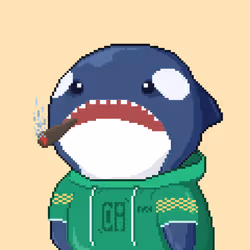 Orca Business #571