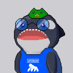 Orca Business #2029