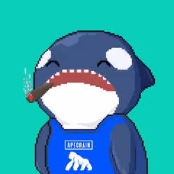 Orca Business #296