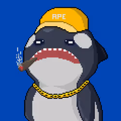 Orca Business #634