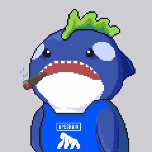 Orca Business #773