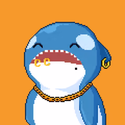 Orca Business #1636