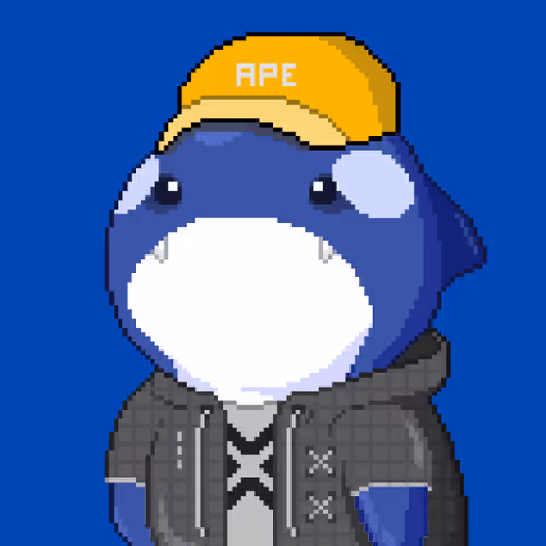 Orca Business #1897