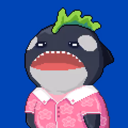 Orca Business #1680