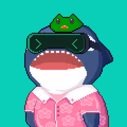 Orca Business #482