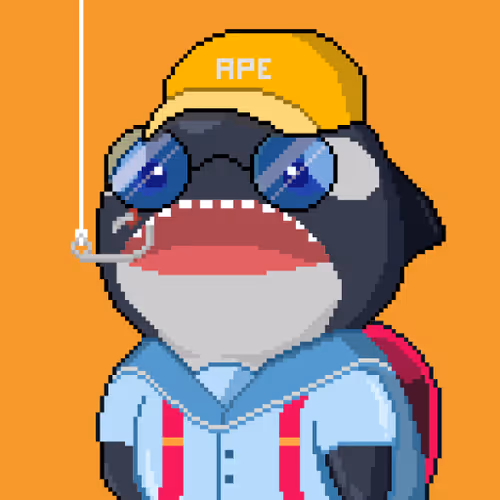 Orca Business #1556