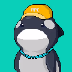 Orca Business #1769