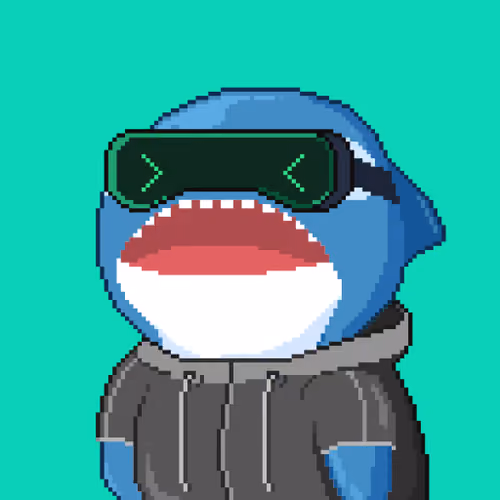 Orca Business #1294