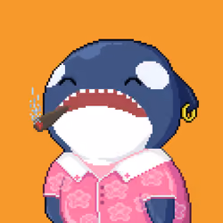 Orca Business #569