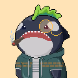Orca Business #256