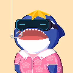 Orca Business #1208