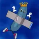 1243