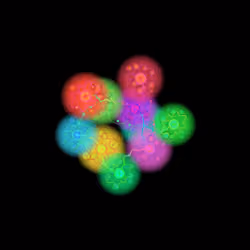 Lattices #62