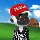 555