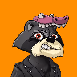 Raccoon Gin Ape #77