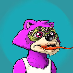 Raccoon Gin Ape #247