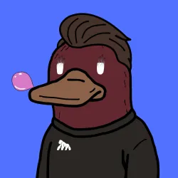 1628