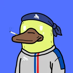 231