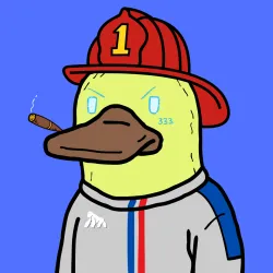 1040