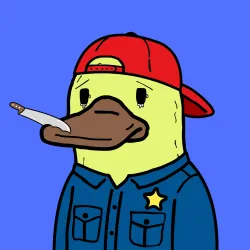 385