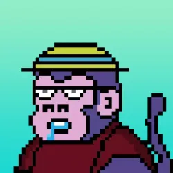 Kongs On Ape #381