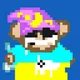 8bitMonkes