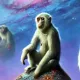 Space monkey