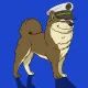 Kennel on Ape