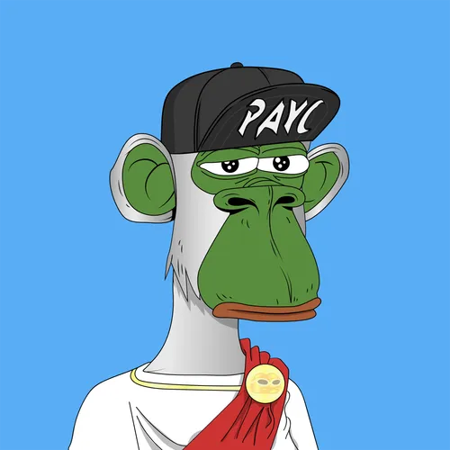PEPE APE YACHT CLUB - PAYC