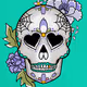 DCS Skull