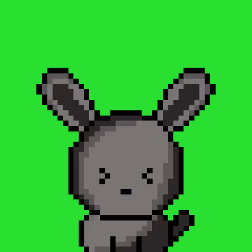 Bunny on Ape