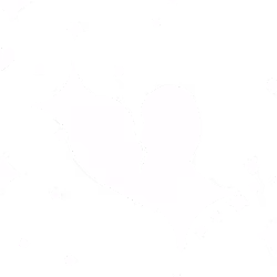 Element-Medien-Platzhalter